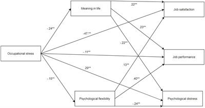 Mediating roles of meaning in life and psychological flexibility in the relationships between occupational stress and job satisfaction, job performance, and psychological distress in teachers